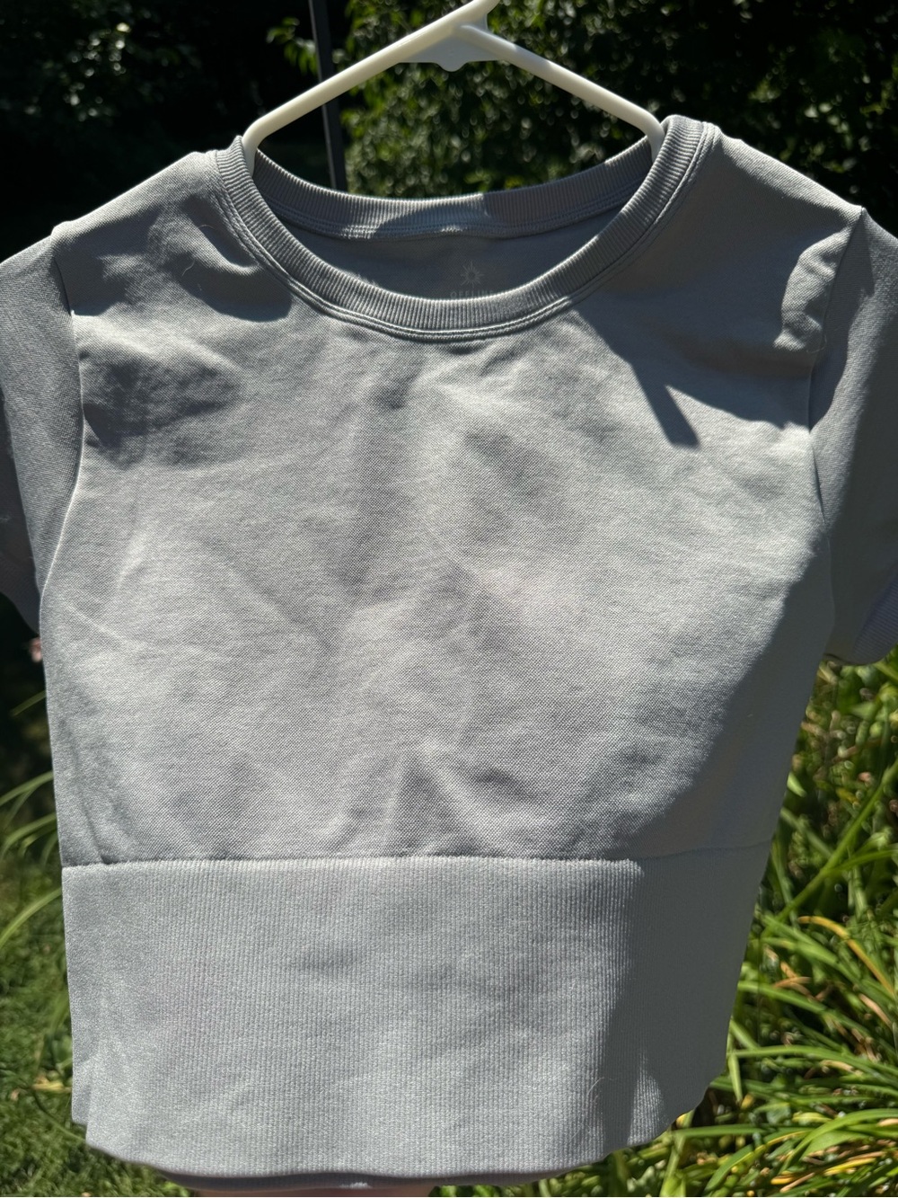 Aerie Short Sleeve Gray Crop Top Shirt